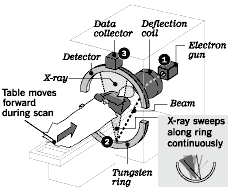 More Cancer Risk Seen in Full-Body CT Scans: The radiation from one exam is equal to that in some atomic-bomb survivors. But for the ill, diagnostic benefits outweigh the danger THOMAS H MAUGH II & DANIEL COSTELLO / LA Times 31aug04