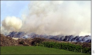 Thousands of animal carcasses are burning in Devon